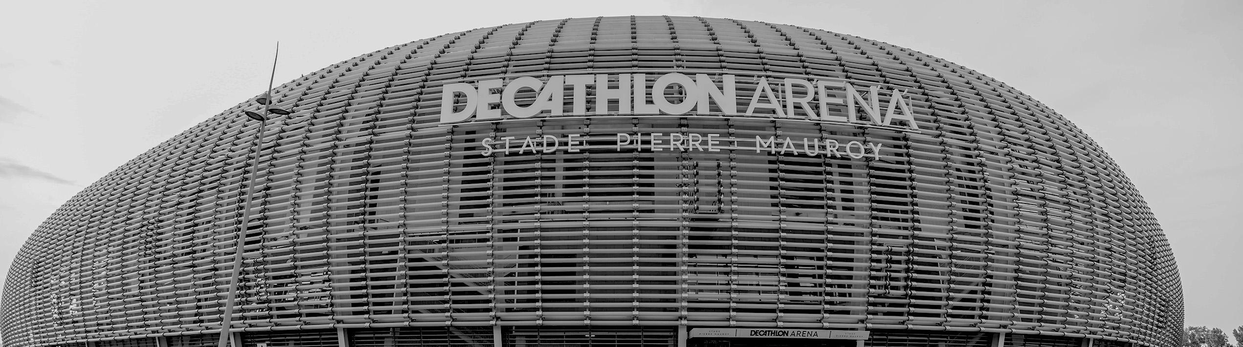 NEWSLETTER Entreprises Novembre 2024