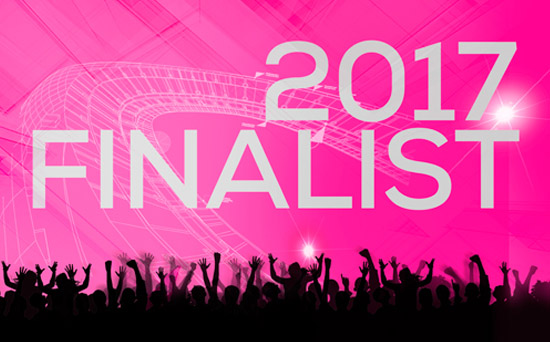 Le Stade Pierre-Mauroy nommé au Stadium Business Awards